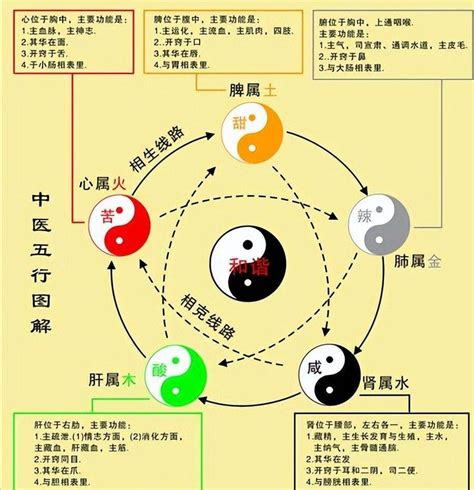 火和木|五行火与其它五行的关系